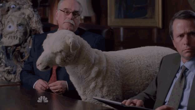 Sheep
