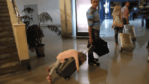 Dead Totes amazeballs fist bump kitty