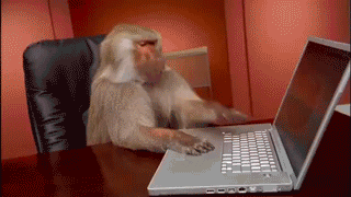 monkeytyping