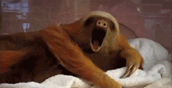 Sleep