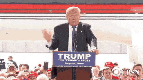 Trump v Sanders