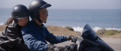 The Meddler