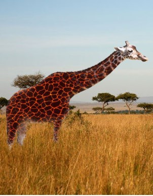 Periscope Giraffe