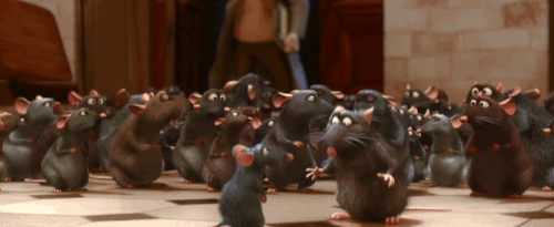 ratatouille